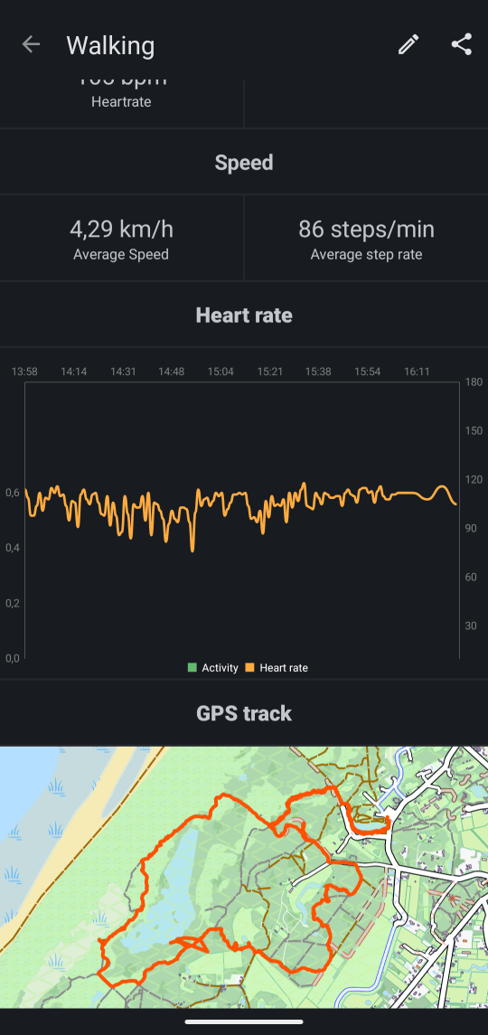 Workout GPX track with map